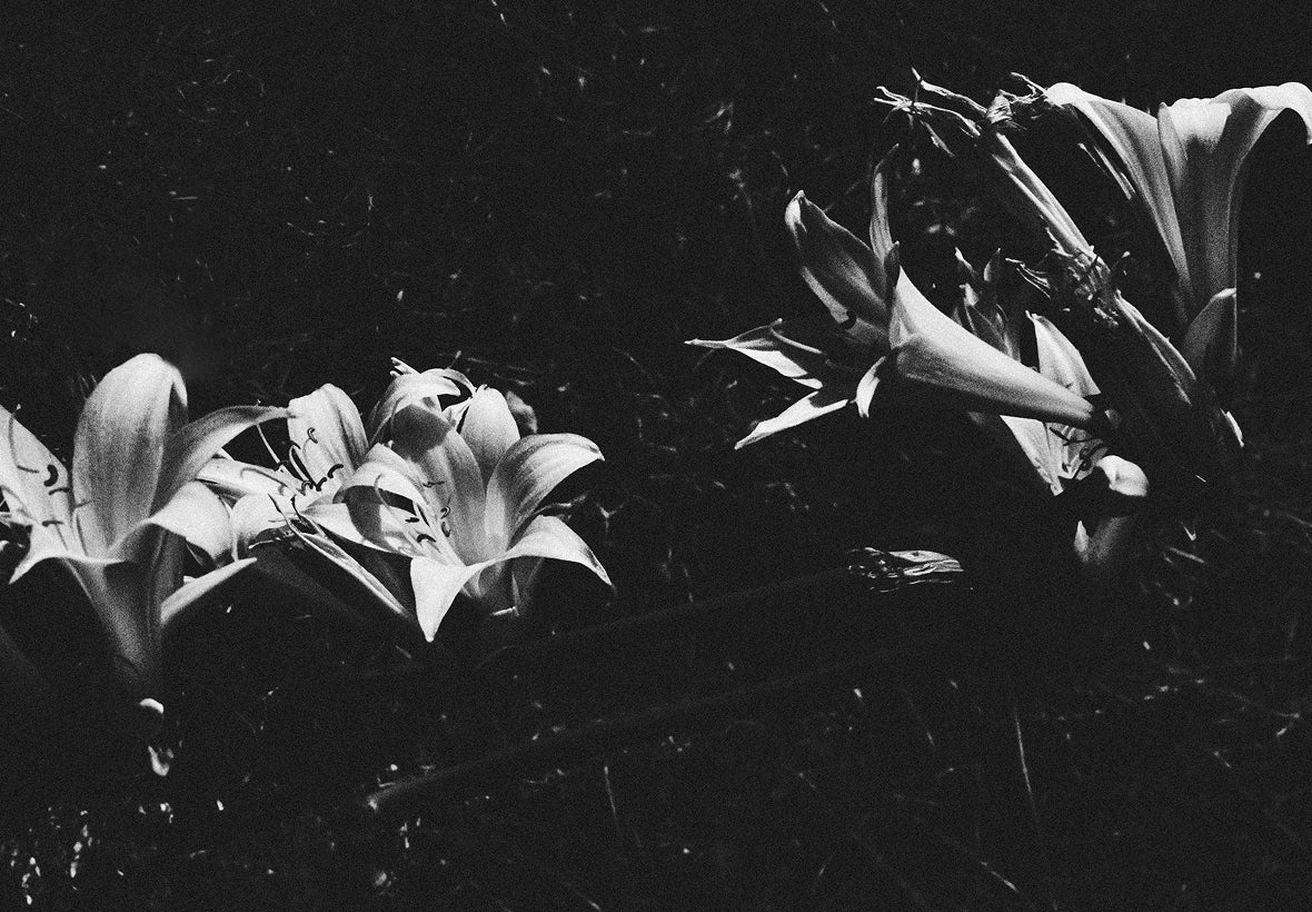 051025_mob_cottage_edit_m_15