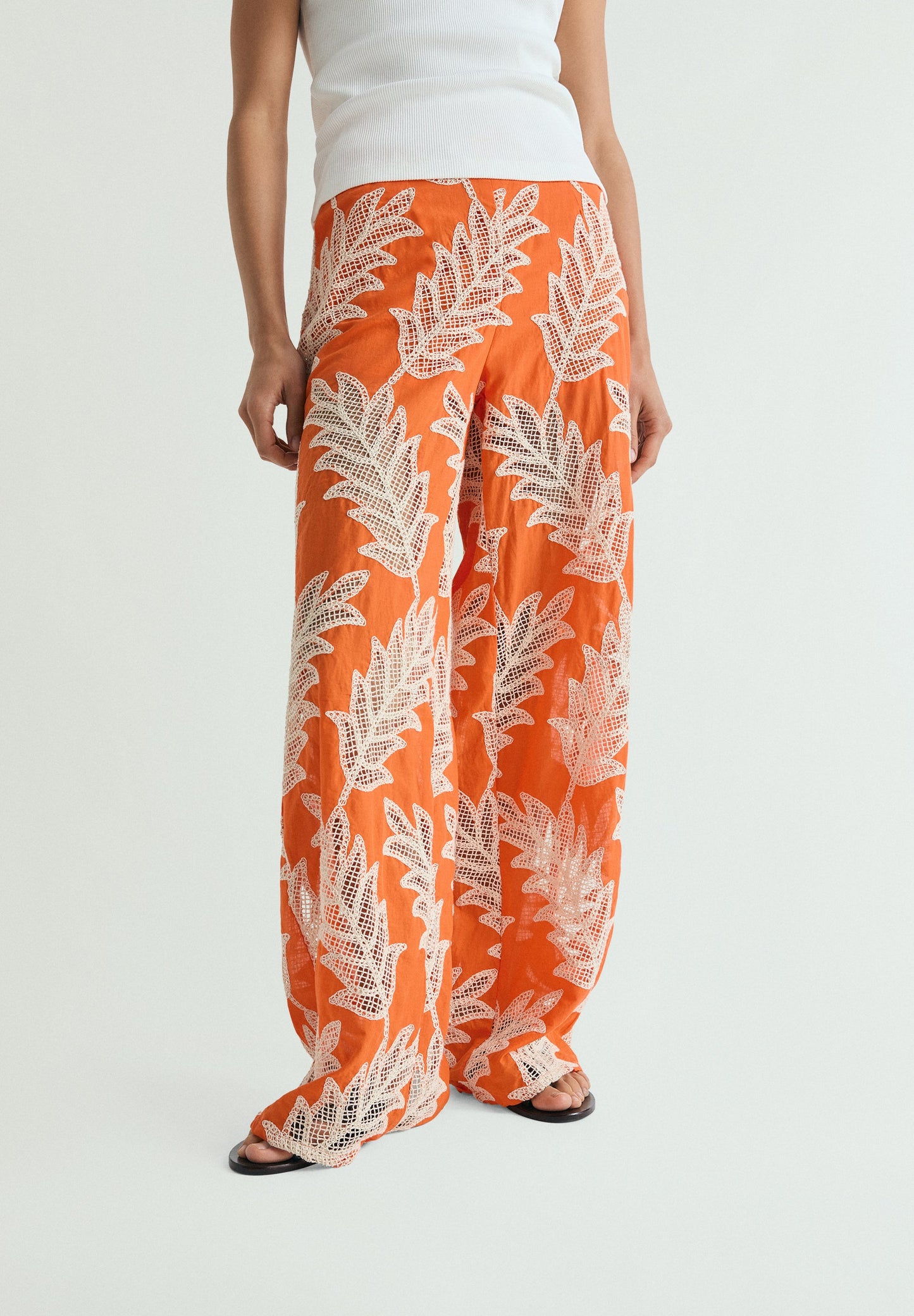 NETEMB BROEK