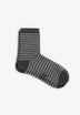 SCSTRIPE LUREX SOCKS