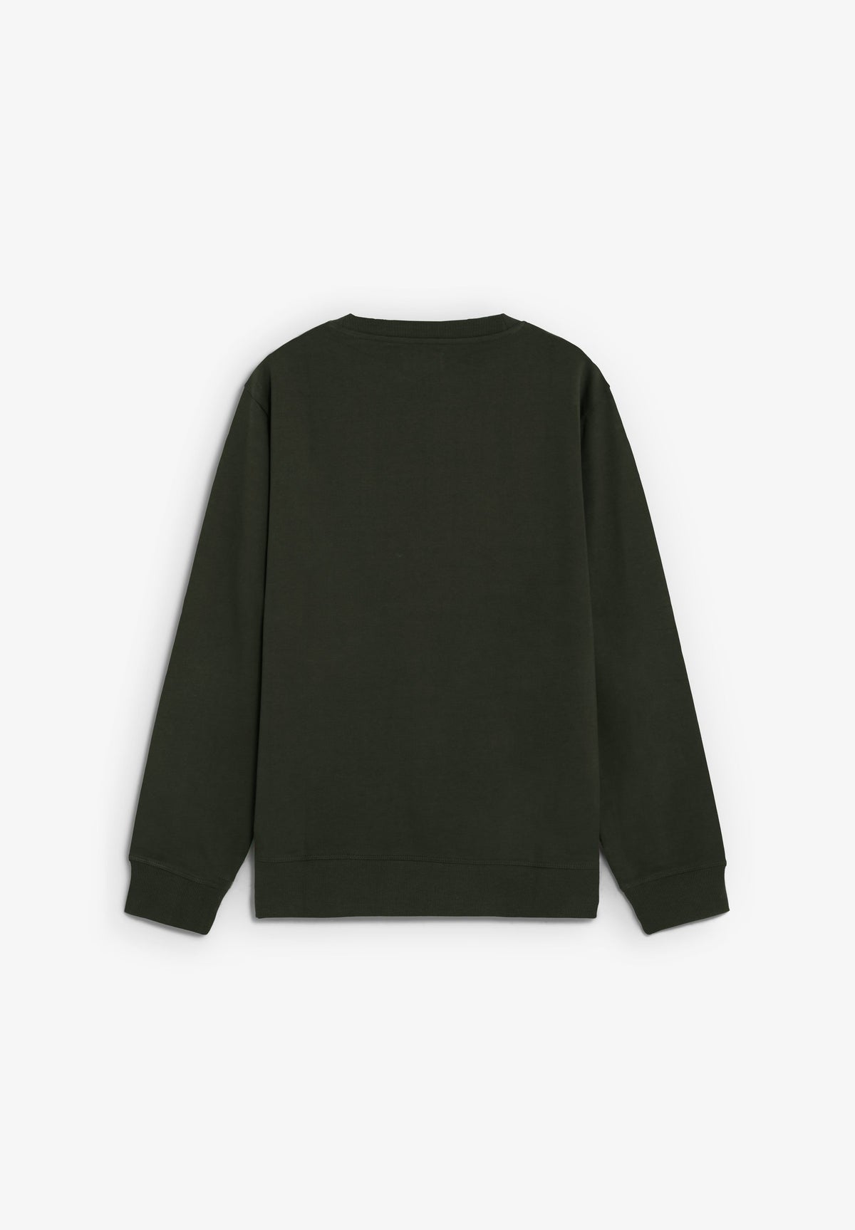 SCEMBROIDERY SWEATER