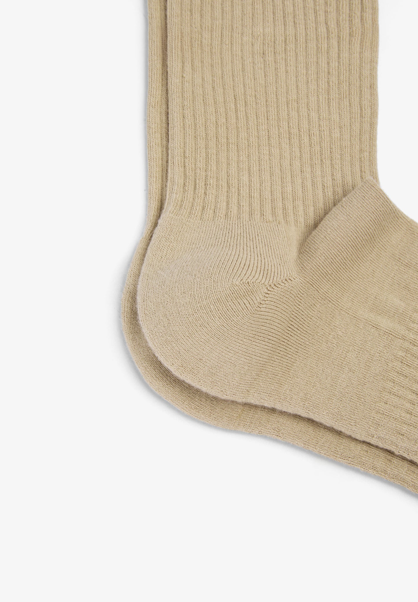 SCADN SOCKS