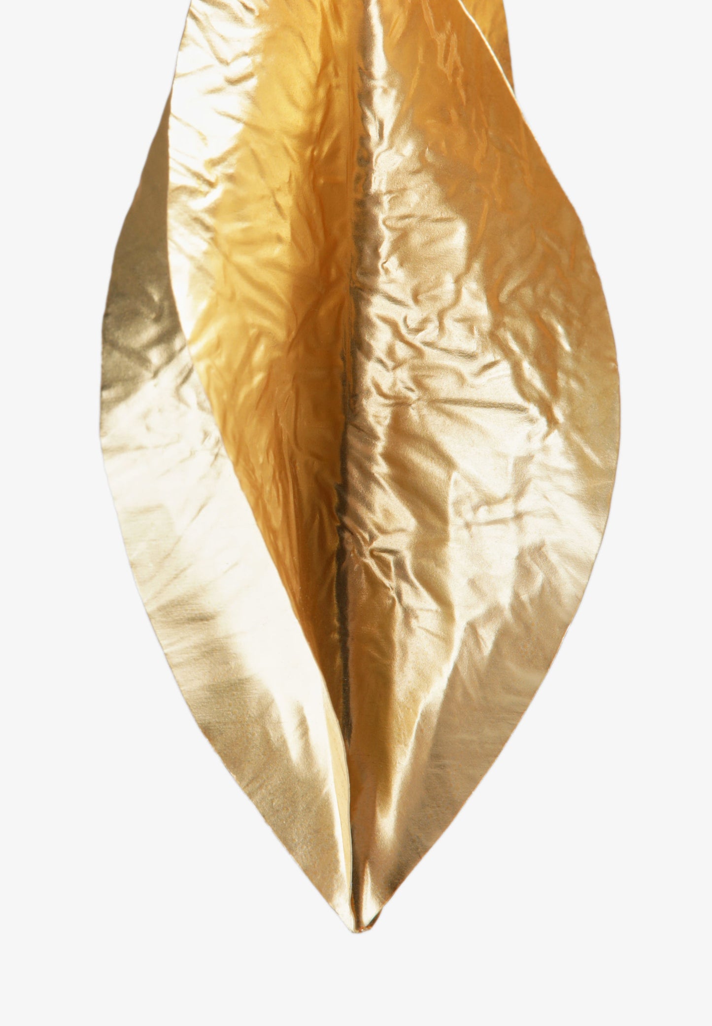 SCBIGPETALGOLD EARRINGS