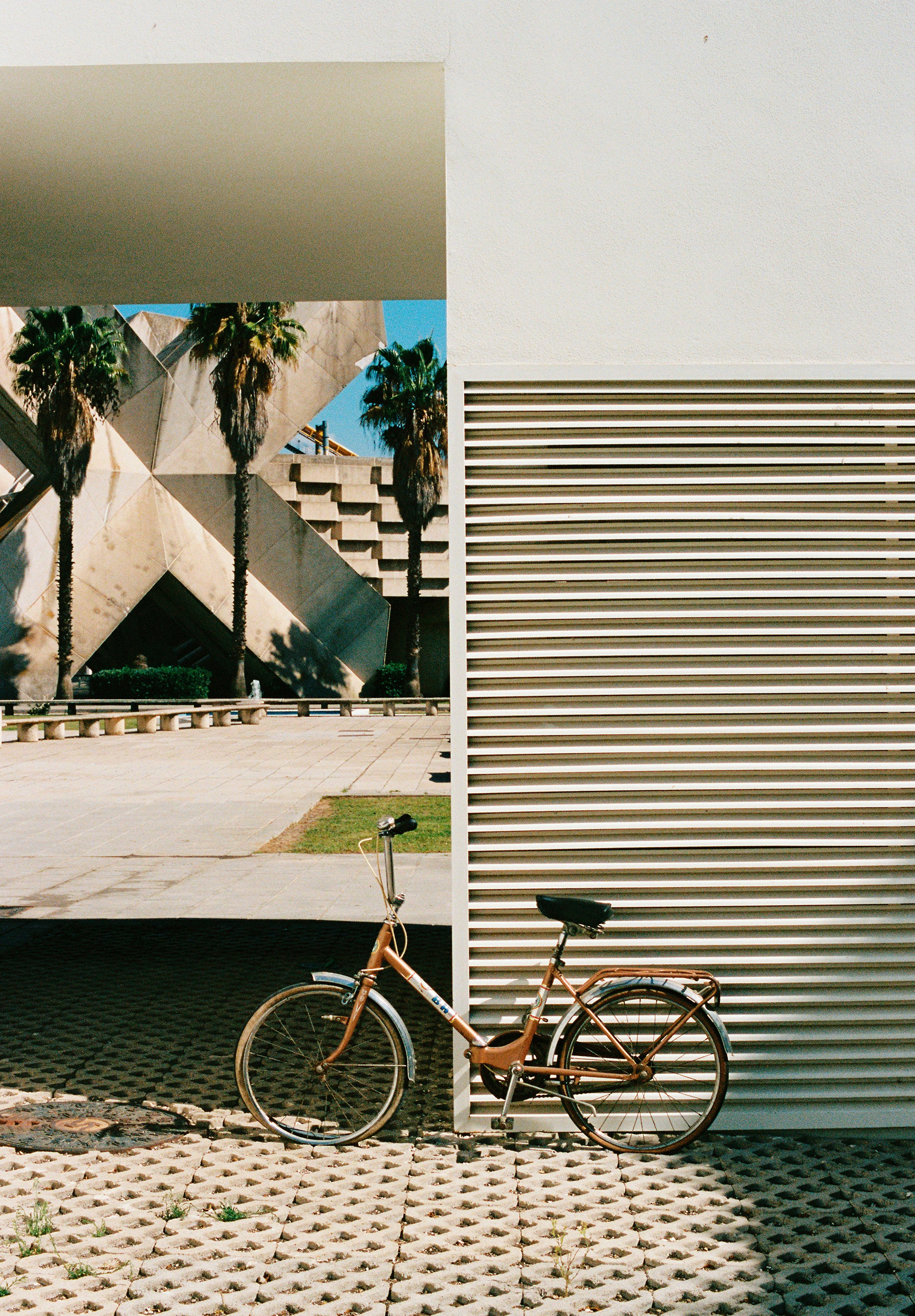 STRIPED HOODIE WITH SKULL