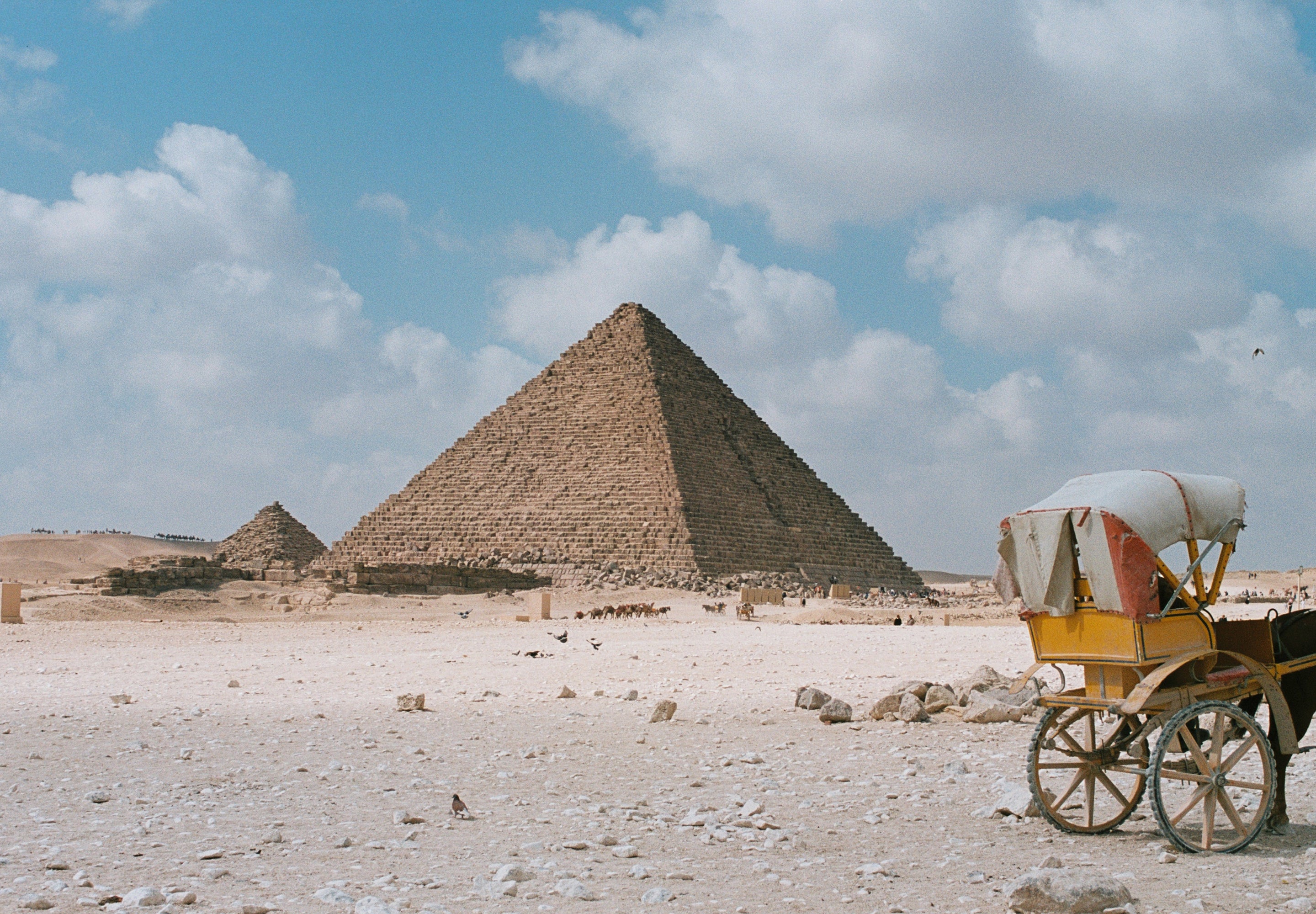 des_150326_cairo_h_04